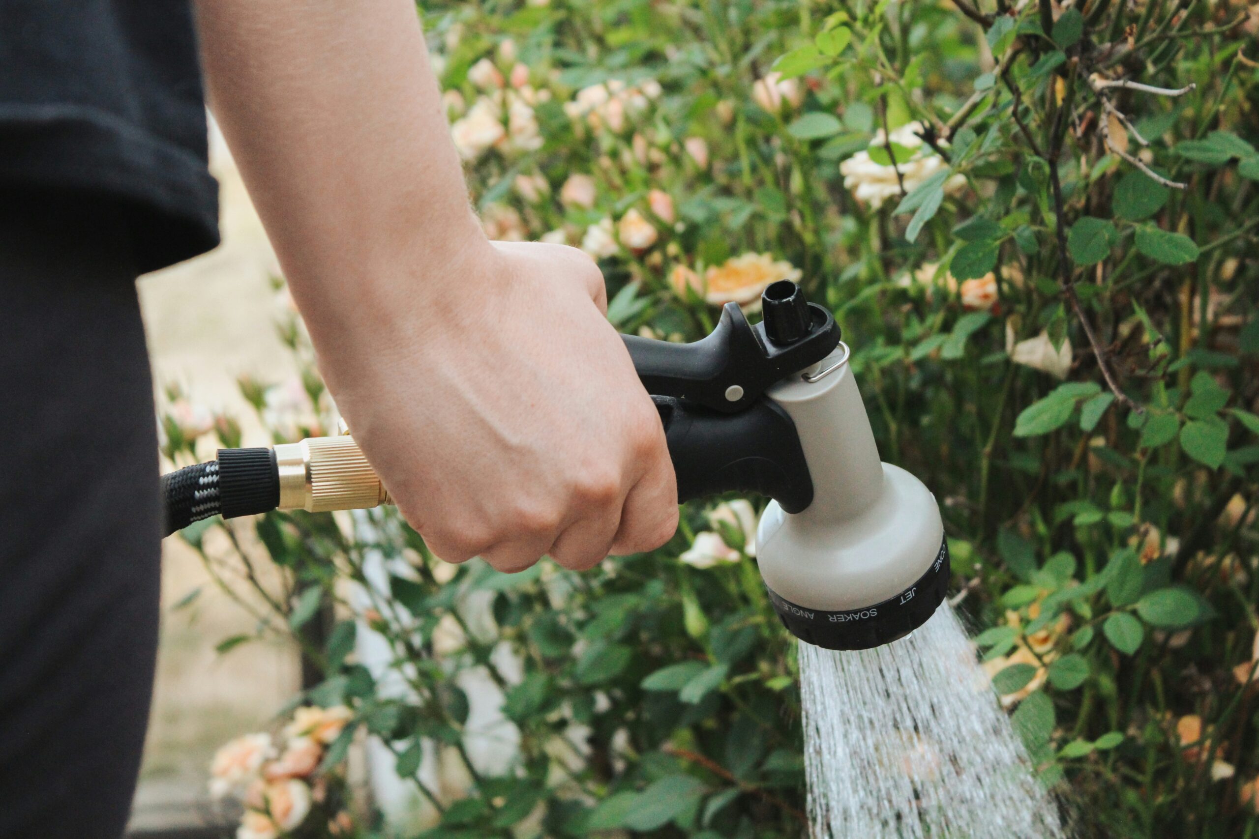 Manguera regando jardín