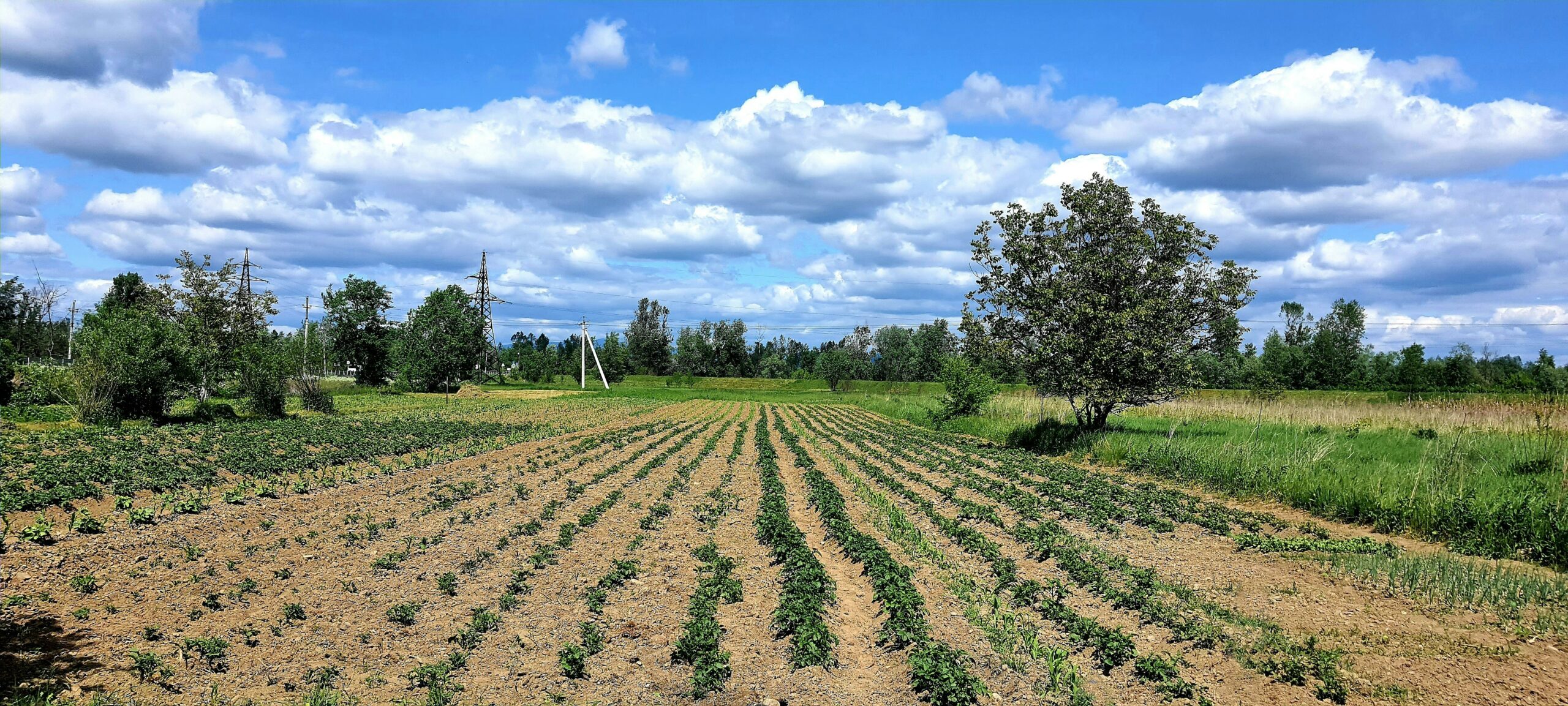 Campos agrícolas inundados en los Países Bajos durante un abril récord en lluvias