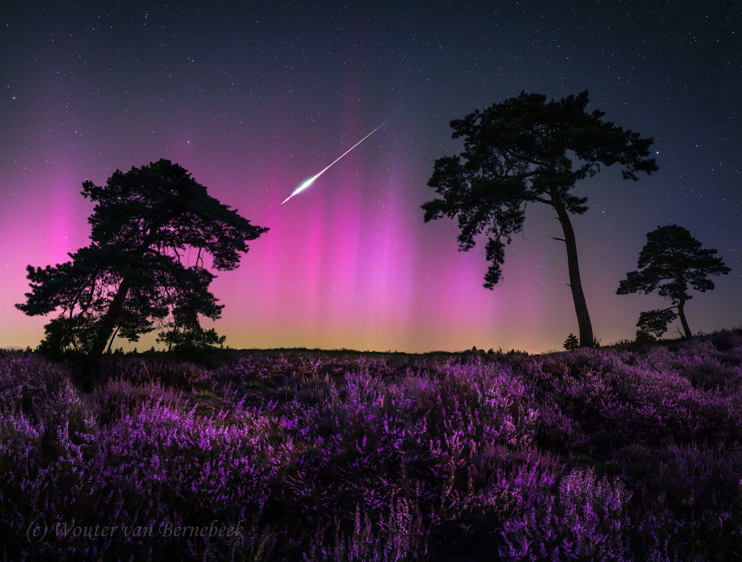 Noche Mágica en Holanda: Auroras Boreales y Perseidas Iluminan el Cielo