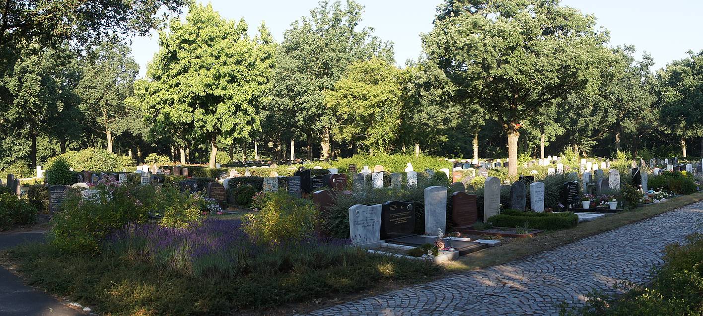 Prisión preventiva por vandalismo en cementerio de Utrecht