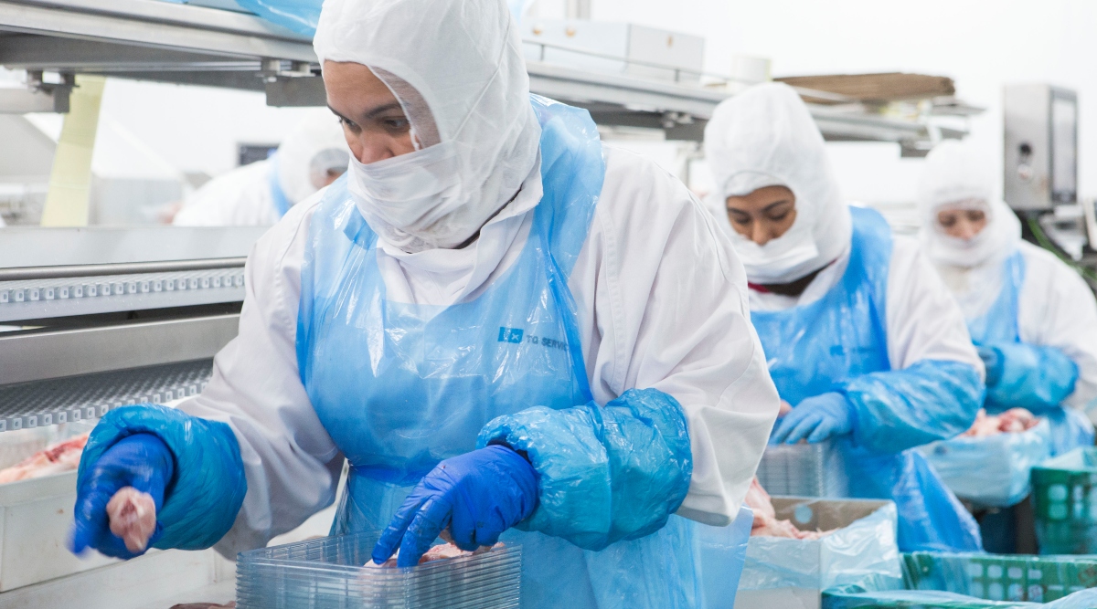 Trabajadores de industria cárnica - Foto en Quality Temporal